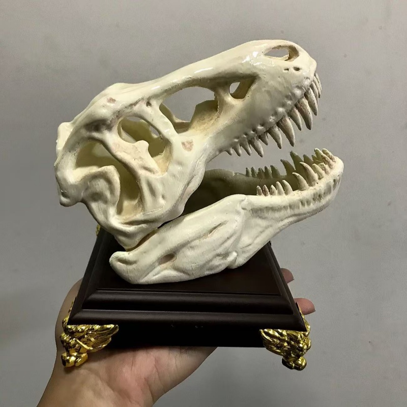 3D Printing Enthusiast - Modèle de crâne de Tyrannosaurus Rex