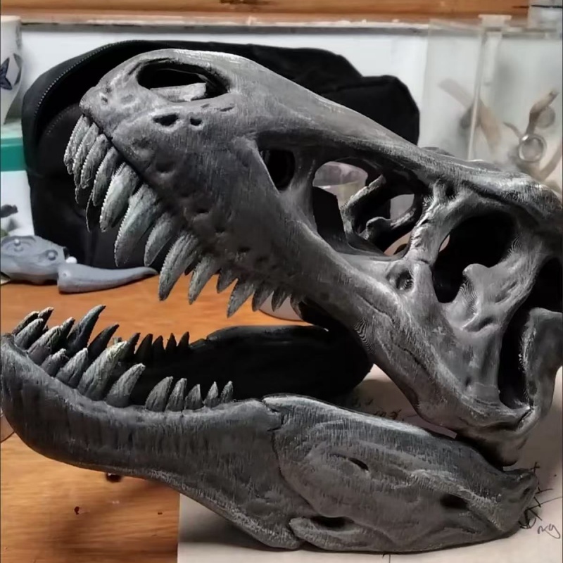 Modèle de crâne de Tyrannosaur - 3D Printing Enthusiast avis et prix