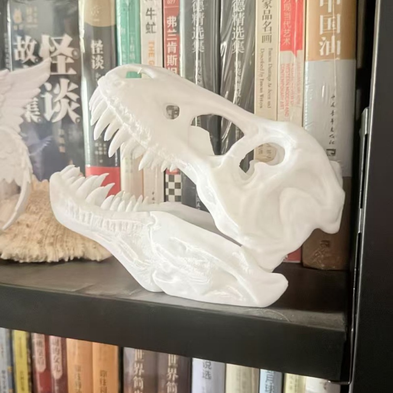 Modèle de crâne de Tyrannosaur - 3D Printing Enthusiast avis et prix