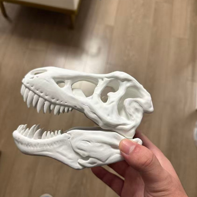Modèle de crâne de Tyrannosaur - 3D Printing Enthusiast avis et prix